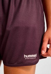 Vinröda sportshorts av slät, lätt tyg. Har en vit "hummel SPORTSWEAR"-logotyp på nedre vänstra sidan.