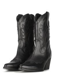 Botas de vaquero de cuero negro con punteras afiladas, patrones en forma de hoja bordados, cremallera lateral y un tacón cuadrado medio. Textura suave con acabado brillante.