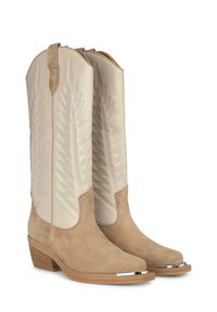 Botas de vaquero de ante marrón con caña de cuero crema que presenta costuras en zigzag, punta afilada y un tacón corto apilado. Acento plateado en la punta.