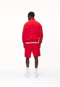 Pegador LOGO OVERSIZED HALF ZIP SWEATER - Melegítőfelső - washed red/white gum