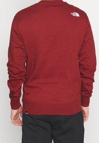 Persona che indossa una felpa a maniche lunghe rossa con il logo The North Face sulla parte superiore della schiena e pantaloni neri, mostrata di spalle.