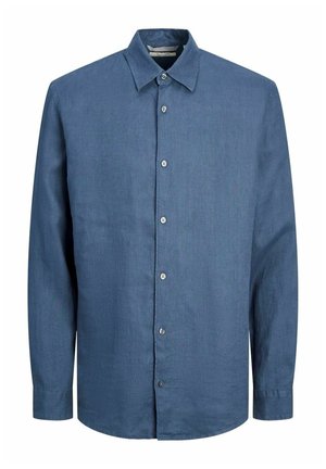 Camicia azzurra abbottonata realizzata in tessuto morbido, caratterizzata da un colletto a punta, maniche lunghe e una lista con bottoni circolari. Senza motivi.