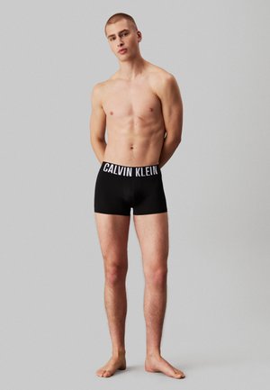 TRUNK INTENSE POWER 3 PACK - Trunks - misty grey/white/blossom green