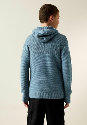Next, REGULAR FIT - UTILITY - Hoodie - blue twist