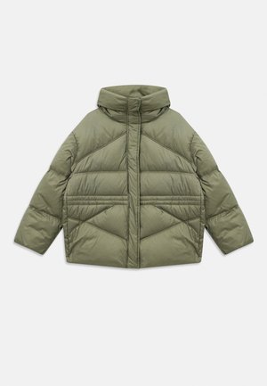 Olivgrüne Steppjacke mit hohem Kragen, diagonalen Nähten, langen Ärmeln und mit Reißverschluss versehenen Seitentaschen, flach auf einem weißen Hintergrund ausgebreitet.