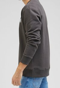 Grå sweatshirt med långa ärmar, ribbade mudd och nederkant. Har en rundad halsringning och en liten vit logotyp på framsidan.