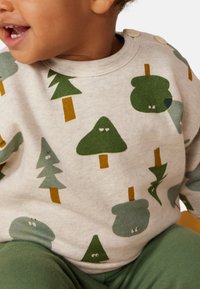 Petit Bateau Felpa - green, grey