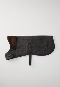 Cămașă pentru câini cu carouri întunecate, cu guler din corduroy maro, curea ajustabilă și cataramă pe un fundal luminos uniform.