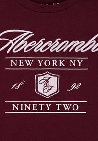 Abercrombie & Fitch CREST BOXY TEE - T-shirt imprimé - fig