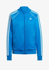 Unselected, blue bird