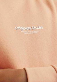Jack & Jones Junior JORVESTERBRO CREW NECK NOOS - Sweatshirt - canyon sunset