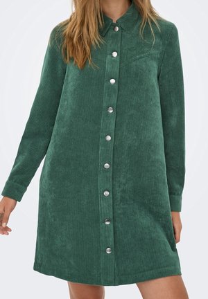 Lang groen corduroy jurk met lange mouwen, zilveren drukknopen aan de voorkant en een kraag, gedragen door een staand persoon.