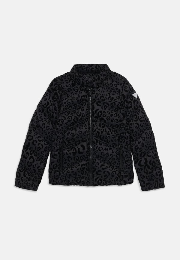 JUNIOR PADDED JACKET ZIP - Winter jacket