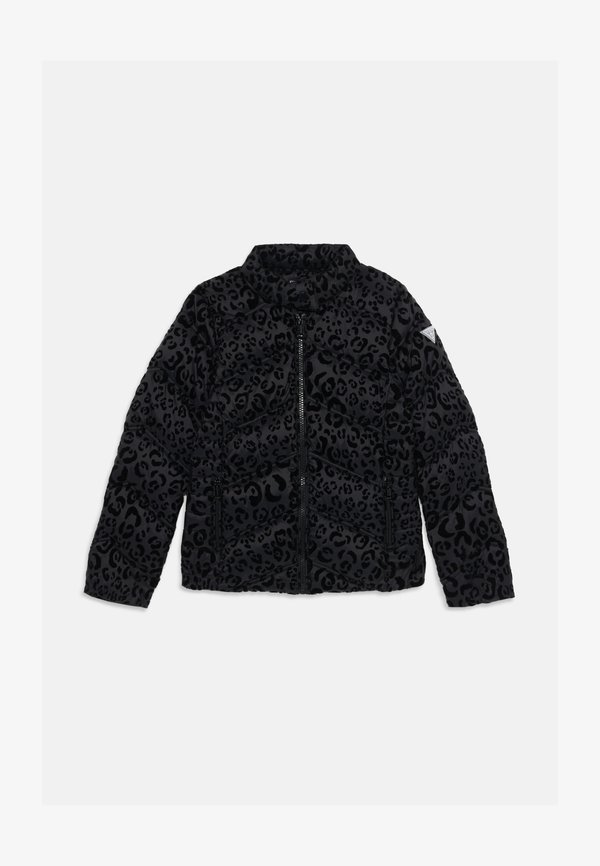 JUNIOR PADDED JACKET ZIP - Winter jacket