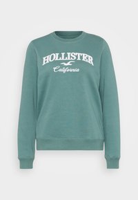 Felpa verde con maniche lunghe, collo rotondo e polsini a coste. Presenta la scritta "HOLLISTER California" in bianco sul petto.