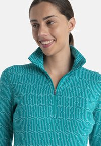 icebreaker MERINO 260 MID WEIGHT VERTEX HALF ZIP GRAPHIC - Langarmshirt - TEAL