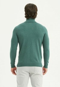 Pull à col roulé vert en tricot avec des manches longues et des poignets côtelés. Texture lisse, design ajusté, sans logos ni motifs visibles.