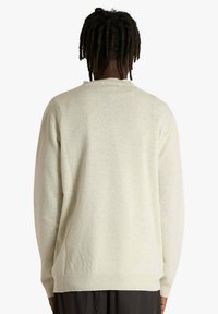 Maglione beige chiaro lavorato a maglia con scollo rotondo e maniche lunghe, caratterizzato da una texture morbida e polsini e orlo a coste, visto da dietro.