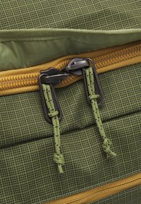 Patagonia BLACK HOLE DUFFEL 55L UNISEX - Holdall - buckhorn green