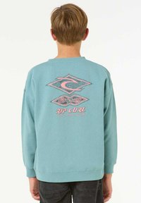 Felpa verde menta con una grande grafica rosa stampata sul retro, con dettagli del logo e una forma classica a girocollo.