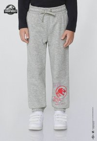 Szare dresy z elastycznym paskiem w talii, sznurkiem i ściągaczami. Posiadają czerwony nadruk z wizerunkiem dinozaura i tekstem.