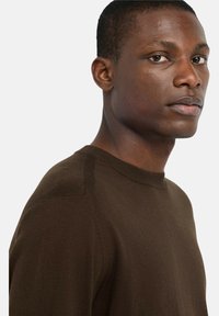 Bruine gebreide trui met een ronde halslijn en een aansluitend silhouet, met een gladde textuur en subtiele schoudernaden.