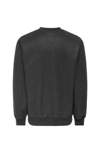 Felpa grigia scuro a maniche lunghe con collo a giro, polsini e orlo a costine, mostrata da dietro su uno sfondo bianco.