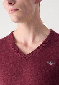 Pulover maron cu decolteu în V, realizat dintr-un material tricotat moale, având un guler structurabil și un mic logo pe pieptul stâng.