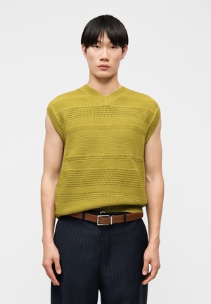 Mladý muž v bezrukávovom horčicovo žltom pletenom svetri a tmavých nohaviciach s tenkými pruhmi a hnedým opaskom, stojaci na jednoduchom pozadí.