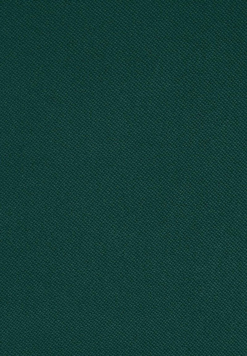 New Balance Sweater - dark green