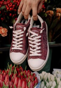 Main tenant une paire de baskets bordeaux et blanches au-dessus de tulipes rouges et blanches et d'autres fleurs en arrière-plan.
