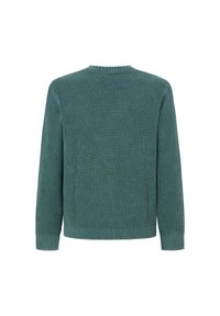 Strickpullover in einer gedämpften grünen Farbe, mit einem strukturierten Muster, Rundhalsausschnitt und langen Ärmeln mit gerippten Bündchen und Saum.