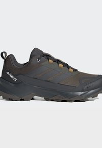 Chaussure de randonnée Adidas Terrex noire et gris foncé avec semelle texturée et lacets noirs sur fond gris clair.