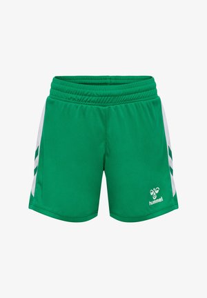 Groene atletiekshorts van lichtgewicht stof. Voorzien van een witte zijstreep en logo. Elastische tailleband voor comfort. Kort model.