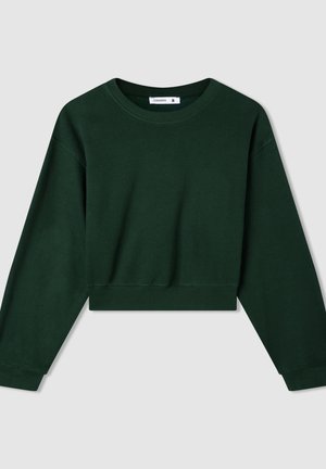 Felpa verde corta con maniche lunghe, scollatura tonda e orlo a coste. Realizzata in materiale morbido, presenta un design semplice con dettagli minimi.