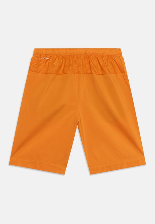 The North Face TEEN PENTADOME EMBOSSING UNISEX - Sports shorts - dust orange — foto 5