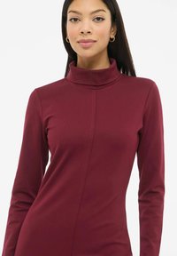 Bordo spalvos ilgomis rankovėmis suknelė su aukštu kaklu. Turi prigludusį dizainą ir vertikalias siūlių detales. Lygi tekstūra ir tampri medžiaga.