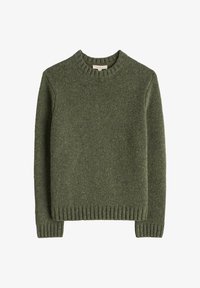 Selezionato, green hosta