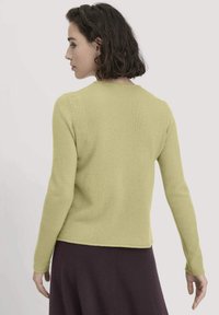 Hellgrüner Pullover aus weichem Strickmaterial, mit Rundhalsausschnitt und langen Ärmeln, getragen über einem dunkelvioletten Rock.