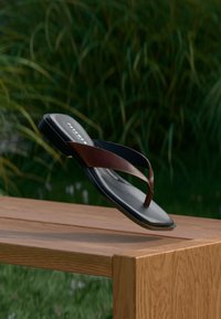 Επιλέχθηκε, brown