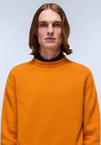 Napapijri ORDIN - Strickpullover - orange pumpkin a