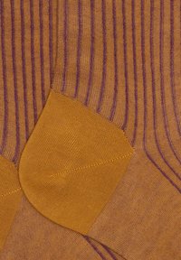 Calzini marroni con strisce verticali contrastanti viola e una superficie liscia. Presentano un'area rinforzata sulla punta e sul tallone in una tonalità più scura.