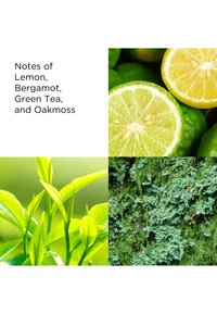 Immagine in miniatura 4