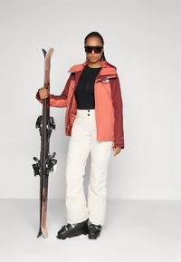 The North Face LENADO PANT - Slēpošanas bikses - white dune