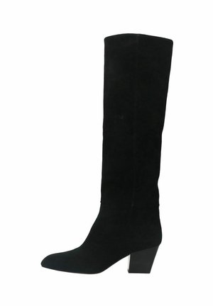 Botte haute en suède noir avec un bout pointu et un talon carré épais. Texture lisse, design sans couture et sans détails matériels visibles.