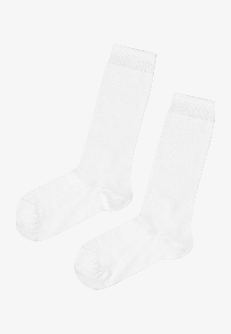 Calzedonia BREATHABLE LONG - Calze - bianco