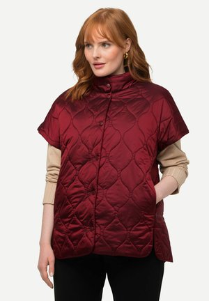 Gequilted kastanjebruine vest met een hoge kraag, korte mouwen en knoopsluiting. Gladde textuur met een ruitpatroon in de stiknaad.