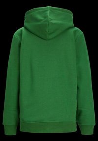 Green hoodie featuring a kangaroo pocket, long sleeves, and a drawstring hood. Soft fabric with a smooth texture and ribbed cuffs.