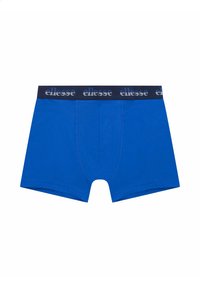 Blaue Baumwoll-Boxershorts mit einem schwarzen elastischen Bund, der weißen Logo-Text enthält. Der Stoff hat eine glatte Textur und ein körperbetontes Design.