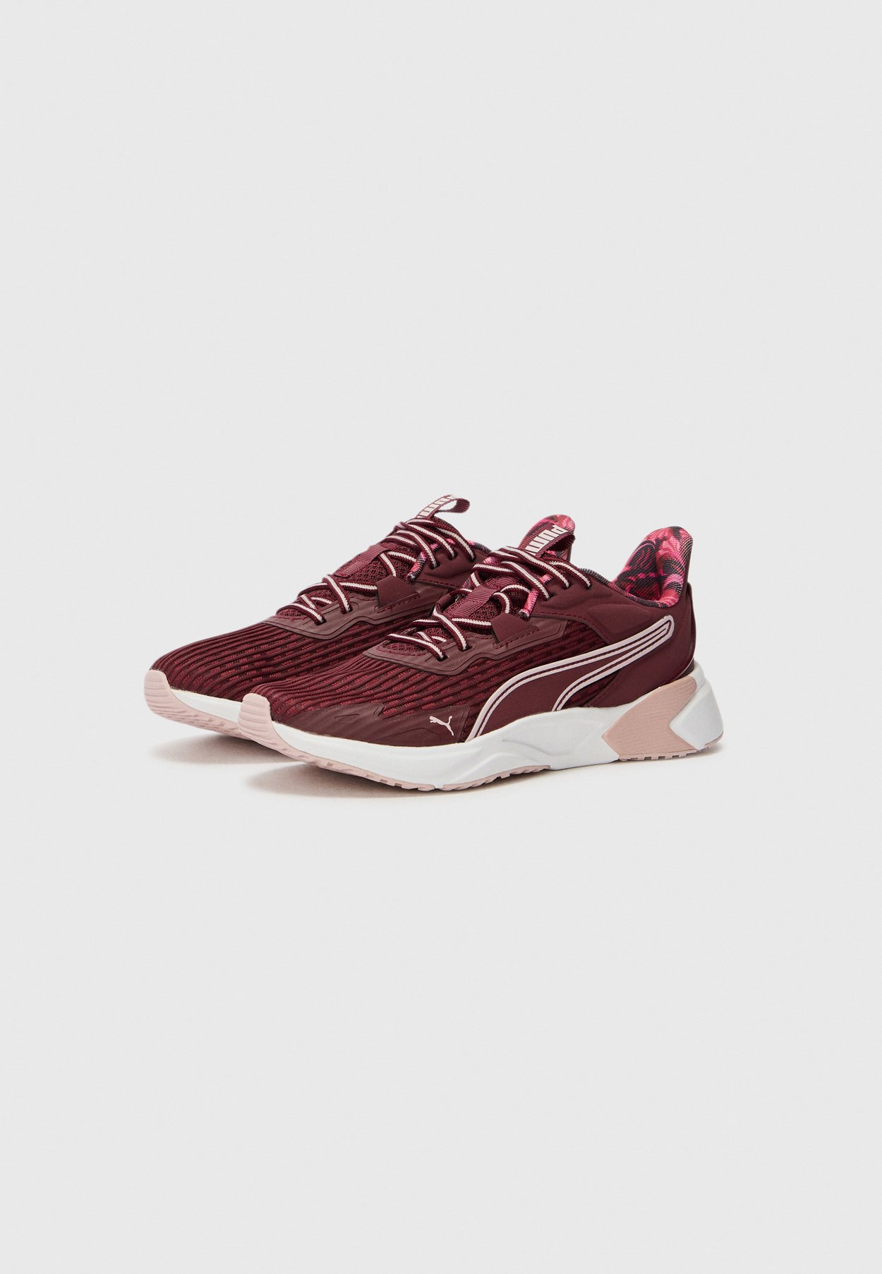 DISPERSE XT 4